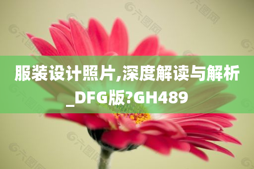 服装设计照片,深度解读与解析_DFG版?GH489