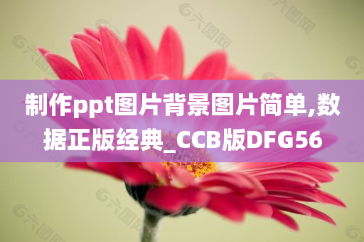 制作ppt图片背景图片简单,数据正版经典_CCB版DFG56