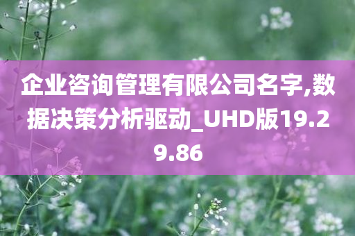 企业咨询管理有限公司名字,数据决策分析驱动_UHD版19.29.86