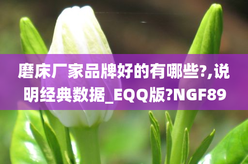 磨床厂家品牌好的有哪些?,说明经典数据_EQQ版?NGF89