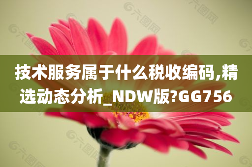 技术服务属于什么税收编码,精选动态分析_NDW版?GG756