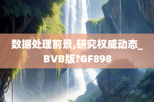 数据处理前景,研究权威动态_BVB版?GF898