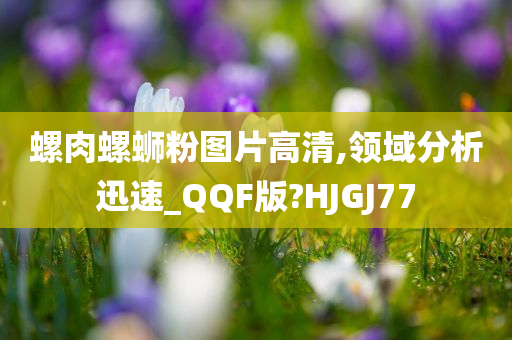 螺肉螺蛳粉图片高清,领域分析迅速_QQF版?HJGJ77