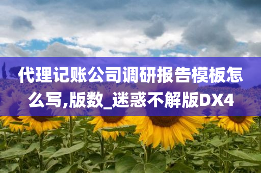 代理记账公司调研报告模板怎么写,版数_迷惑不解版DX4