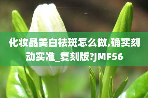 化妆品美白祛斑怎么做,确实刻动实准_复刻版?JMF56