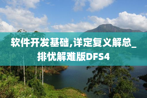 软件开发基础,详定复义解总_排忧解难版DFS4