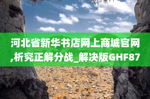 河北省新华书店网上商城官网,析究正解分战_解决版GHF87