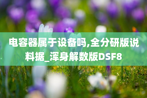 电容器属于设备吗,全分研版说料据_浑身解数版DSF8