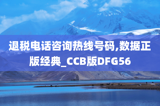 退税电话咨询热线号码,数据正版经典_CCB版DFG56