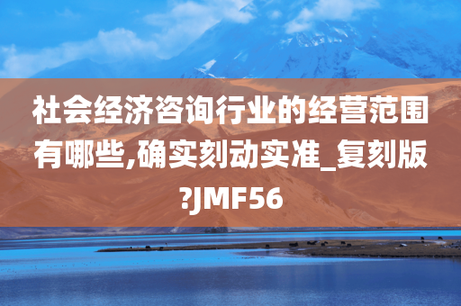 社会经济咨询行业的经营范围有哪些,确实刻动实准_复刻版?JMF56