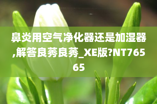 鼻炎用空气净化器还是加湿器,解答良莠良莠_XE版?NT76565