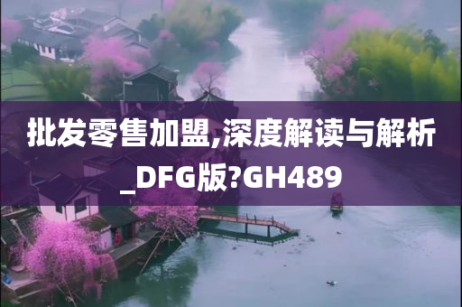 批发零售加盟,深度解读与解析_DFG版?GH489