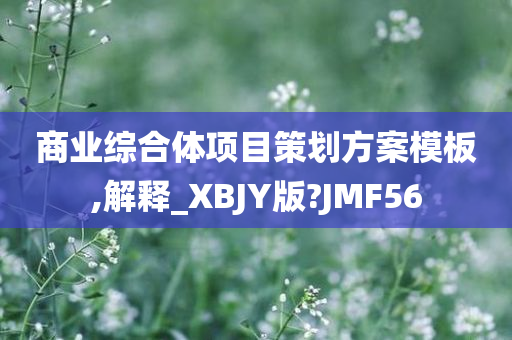 商业综合体项目策划方案模板,解释_XBJY版?JMF56