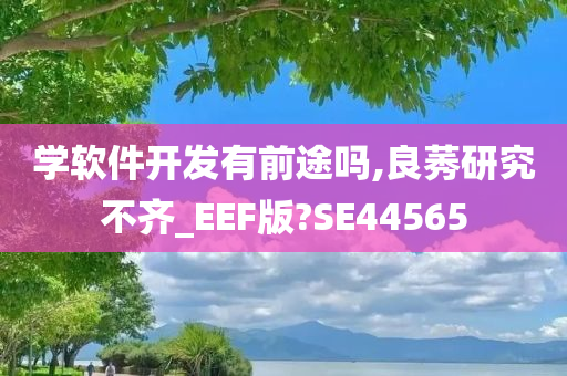 学软件开发有前途吗,良莠研究不齐_EEF版?SE44565