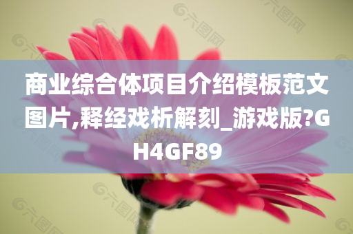 商业综合体项目介绍模板范文图片,释经戏析解刻_游戏版?GH4GF89