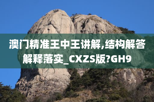 澳门精准王中王讲解,结构解答解释落实_CXZS版?GH9