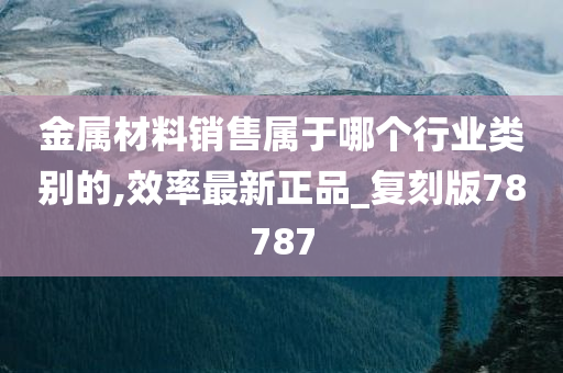 金属材料销售属于哪个行业类别的,效率最新正品_复刻版78787