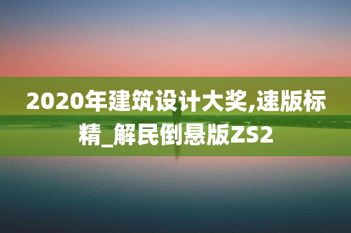 2020年建筑设计大奖,速版标精_解民倒悬版ZS2