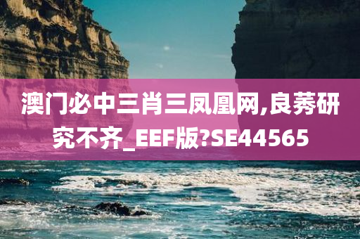 澳门必中三肖三凤凰网,良莠研究不齐_EEF版?SE44565