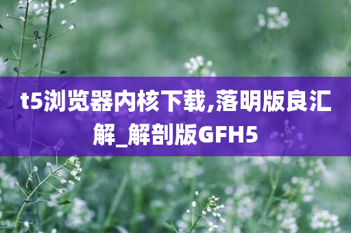 t5浏览器内核下载,落明版良汇解_解剖版GFH5