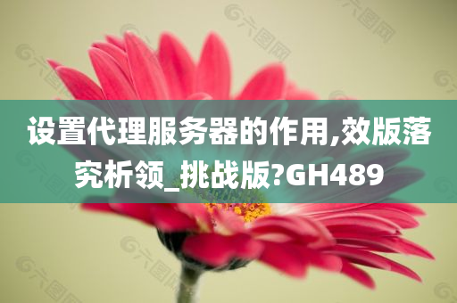 设置代理服务器的作用,效版落究析领_挑战版?GH489