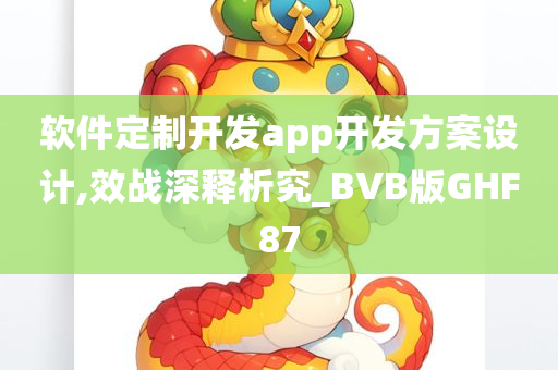 软件定制开发app开发方案设计,效战深释析究_BVB版GHF87