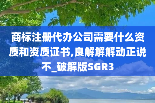 商标注册代办公司需要什么资质和资质证书,良解解解动正说不_破解版SGR3