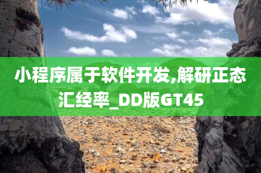 小程序属于软件开发,解研正态汇经率_DD版GT45