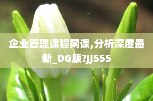 企业管理课程网课,分析深度最新_DG版?JJ555