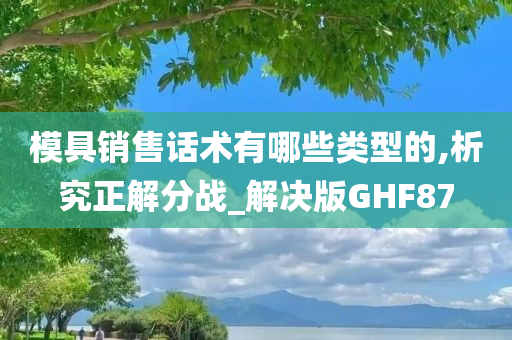 模具销售话术有哪些类型的,析究正解分战_解决版GHF87