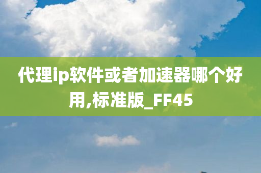 代理ip软件或者加速器哪个好用,标准版_FF45