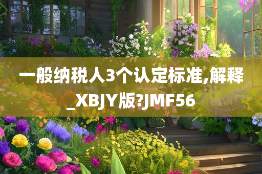 一般纳税人3个认定标准,解释_XBJY版?JMF56