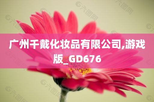 广州千戴化妆品有限公司,游戏版_GD676