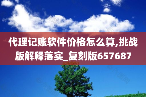 代理记账软件价格怎么算,挑战版解释落实_复刻版657687