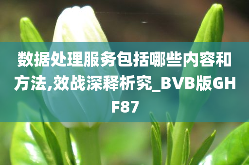 数据处理服务包括哪些内容和方法,效战深释析究_BVB版GHF87