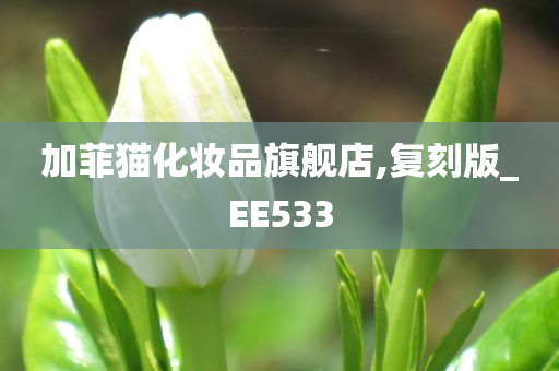 加菲猫化妆品旗舰店,复刻版_EE533