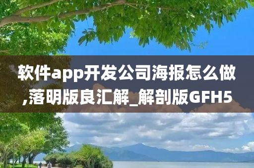 软件app开发公司海报怎么做,落明版良汇解_解剖版GFH5