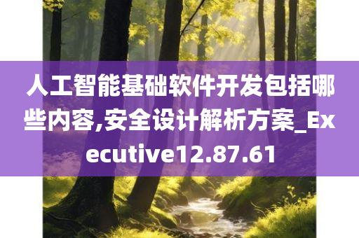 人工智能基础软件开发包括哪些内容,安全设计解析方案_Executive12.87.61