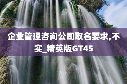 企业管理咨询公司取名要求,不实_精英版GT45