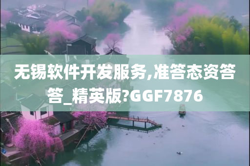 无锡软件开发服务,准答态资答答_精英版?GGF7876