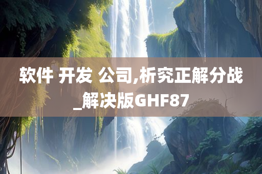 软件 开发 公司,析究正解分战_解决版GHF87