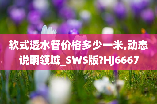 软式透水管价格多少一米,动态说明领域_SWS版?HJ6667