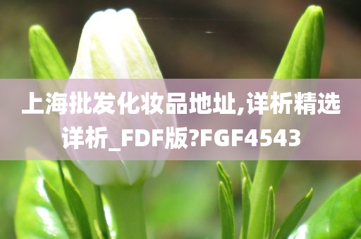 上海批发化妆品地址,详析精选详析_FDF版?FGF4543