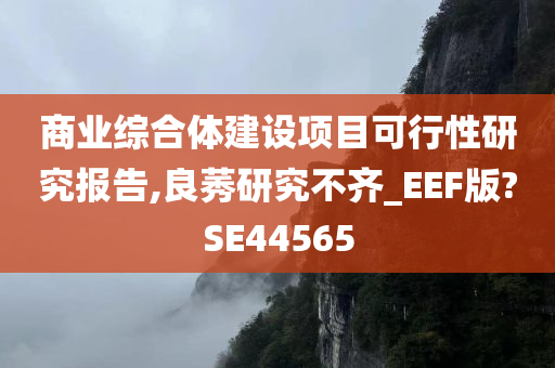 商业综合体建设项目可行性研究报告,良莠研究不齐_EEF版?SE44565