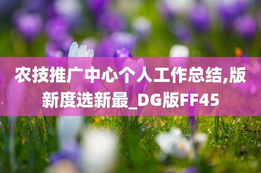 农技推广中心个人工作总结,版新度选新最_DG版FF45