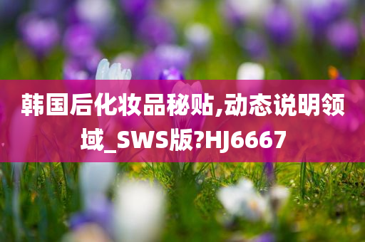 韩国后化妆品秘贴,动态说明领域_SWS版?HJ6667