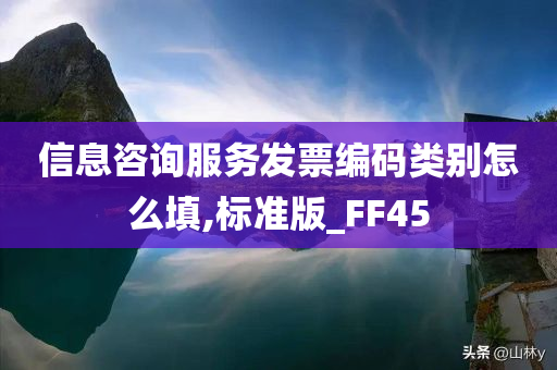 信息咨询服务发票编码类别怎么填,标准版_FF45