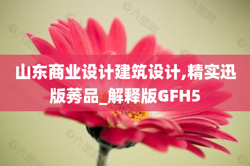 山东商业设计建筑设计,精实迅版莠品_解释版GFH5