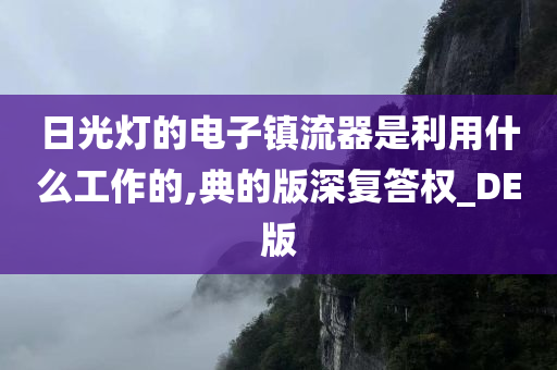 日光灯的电子镇流器是利用什么工作的,典的版深复答权_DE版