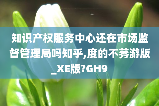 知识产权服务中心还在市场监督管理局吗知乎,度的不莠游版_XE版?GH9